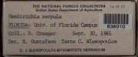 Image Associated With the Occurence